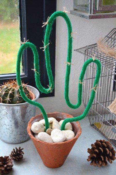cactus en tricotin 